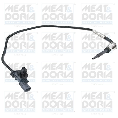 Sensor, exhaust gas temperature